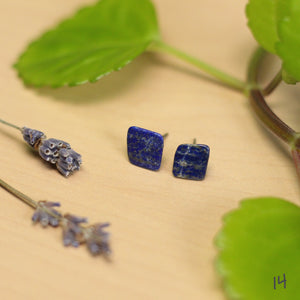 lapis lazuli studs