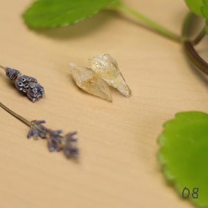 citrine spear studs